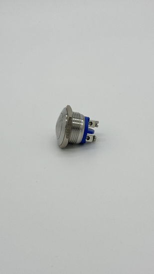 Picture of Silver Fire Button